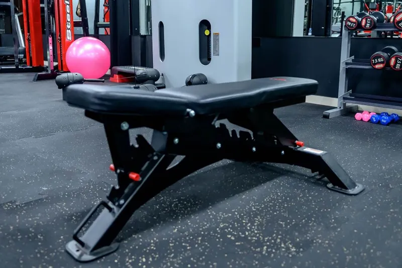 Explore Top Gym Equipment Choices for Your Fitness Journey 13 Adjustable Bench.png