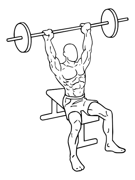 Ultimate Gym Workout Plans for Incredible Results 8 Barbell Shoulder Press