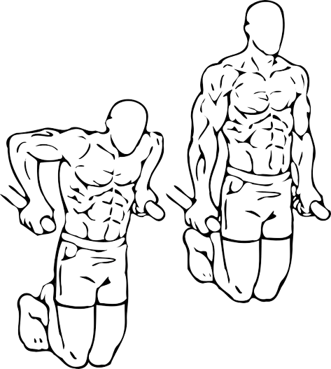 Ultimate Gym Workout Plans for Incredible Results 6 Dips