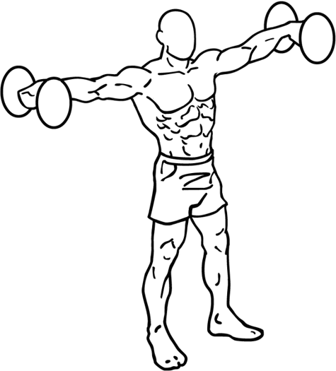 Ultimate Gym Workout Plans for Incredible Results 10 Dumbbell lateral raises