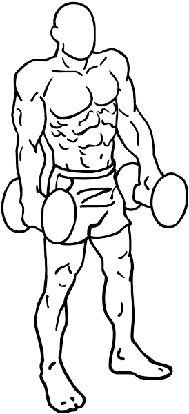 Ultimate Gym Workout Plans for Incredible Results 11 Dumbbell shrugs