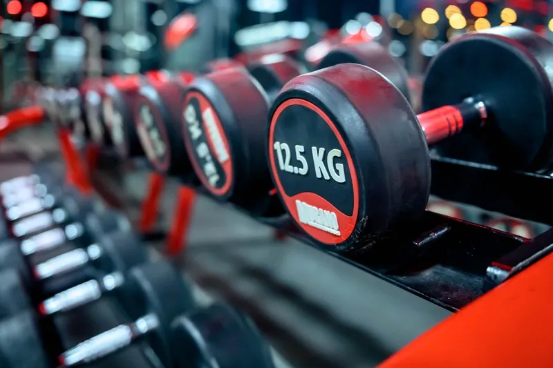 Explore Top Gym Equipment Choices for Your Fitness Journey 12 Dumbbells Gym Equipment