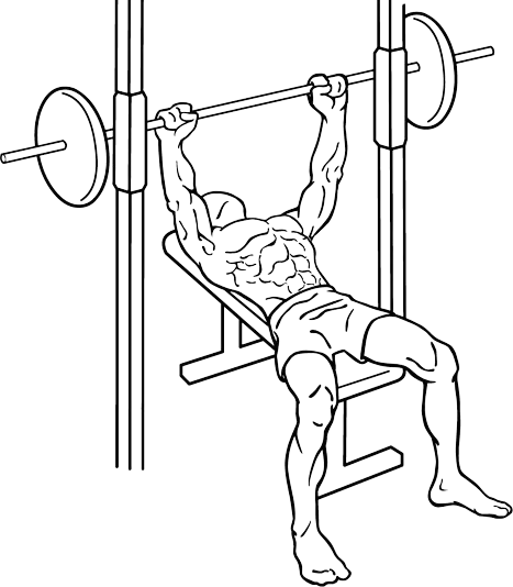 Ultimate Gym Workout Plans for Incredible Results 3 Flat bench press dumbbell bench press 1