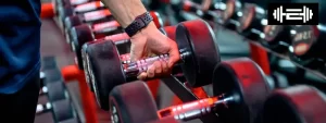 Gym Equipment