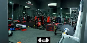 Gym Workout Plans