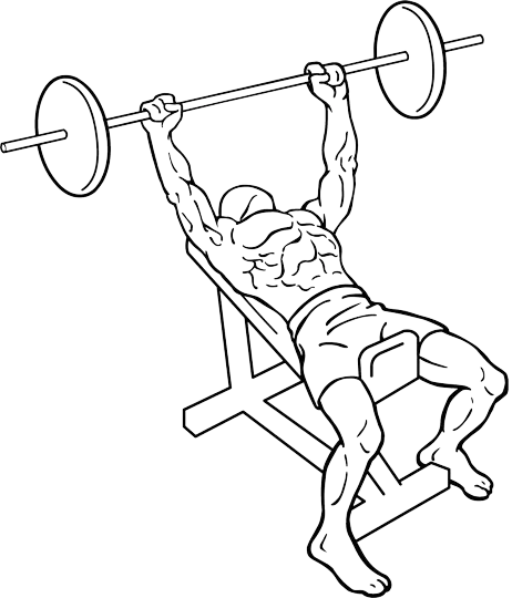 Ultimate Gym Workout Plans for Incredible Results 4 Incline flat bench press Incline dumbbell bench press